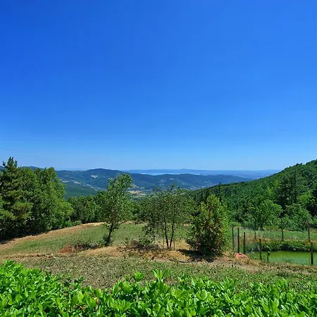 Il Salice Cortona
