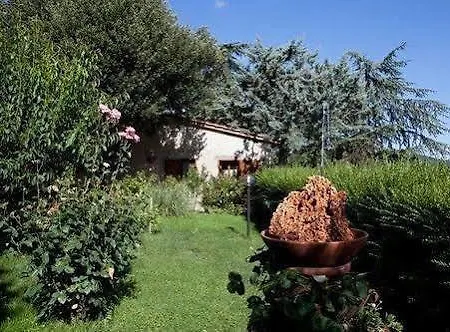 Il Salice