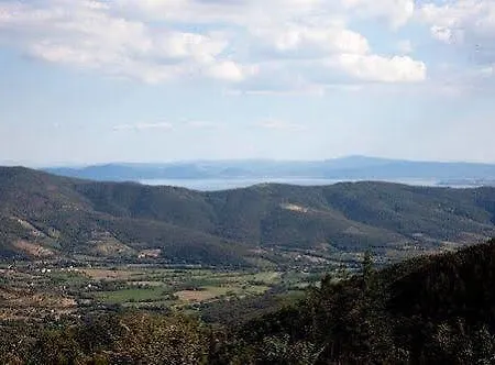 Il Salice